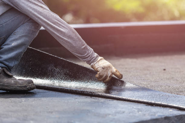 Professional Waterproofing technician working in Daviston, AL